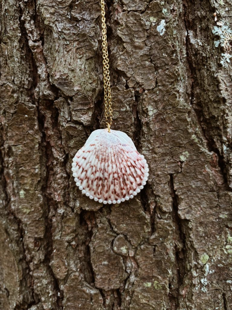 A cream and red scallop shell edged with freshwater pearls, hanging on a gold chain against tree bark
